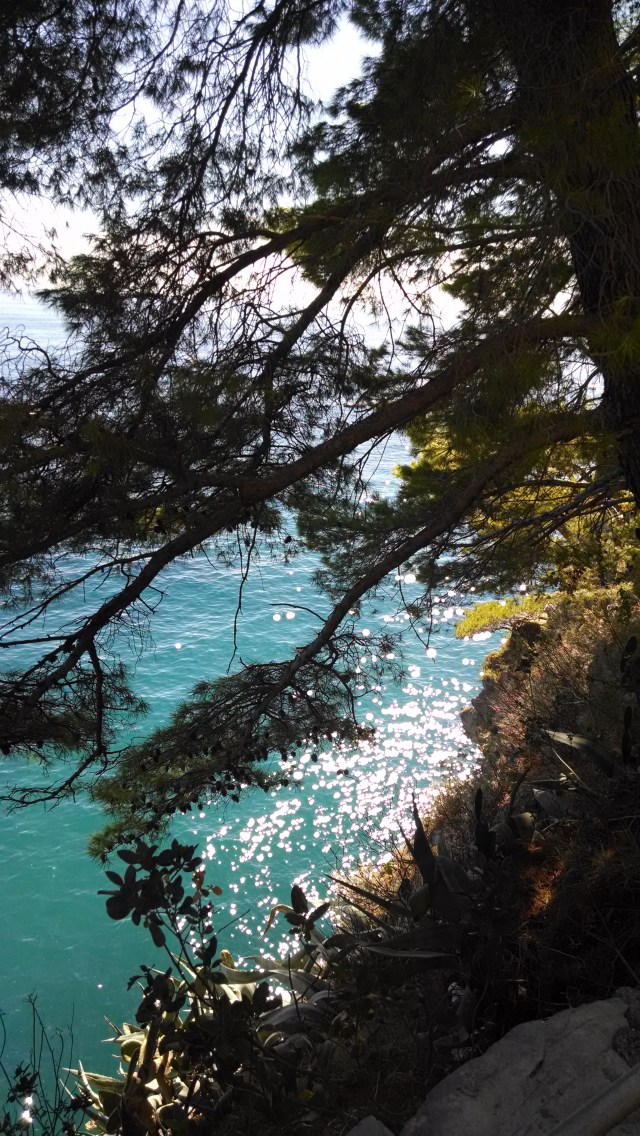 IMG_20150925_143022758